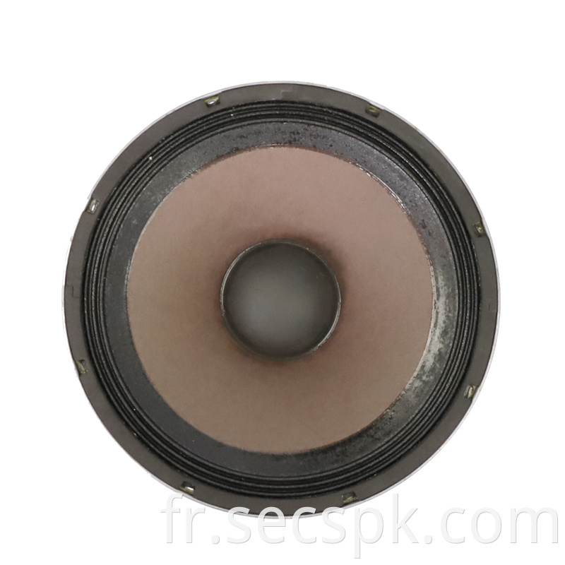 10inch Pa Speaker